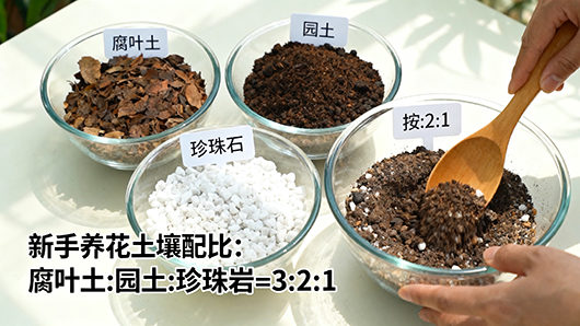 深圳搬家服务本地口碑价格透明高效搬家(图2)